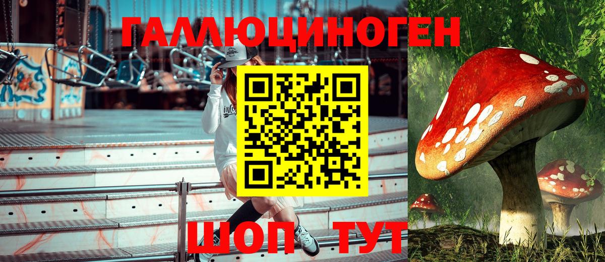 Избербаш  Псилоцибиновые грибы GOLDEN TEACHER  купить   Галлюциногенные грибы мицелий  Вход с VPN 