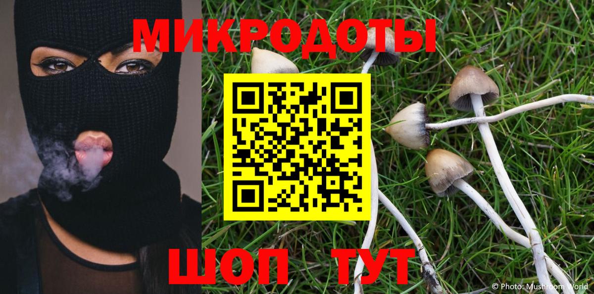 Псилоцибиновые грибы ЛСД Избербаш